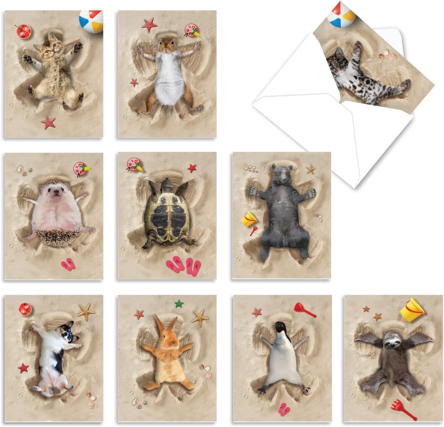 The Best Card Company - 10 Adorable Note Cards Blank (4 x 5.12 Inch) - Wildlife and Animal Cards, Assorted Boxed Kids Set - Sand Angels AM6844OCB-B1x10