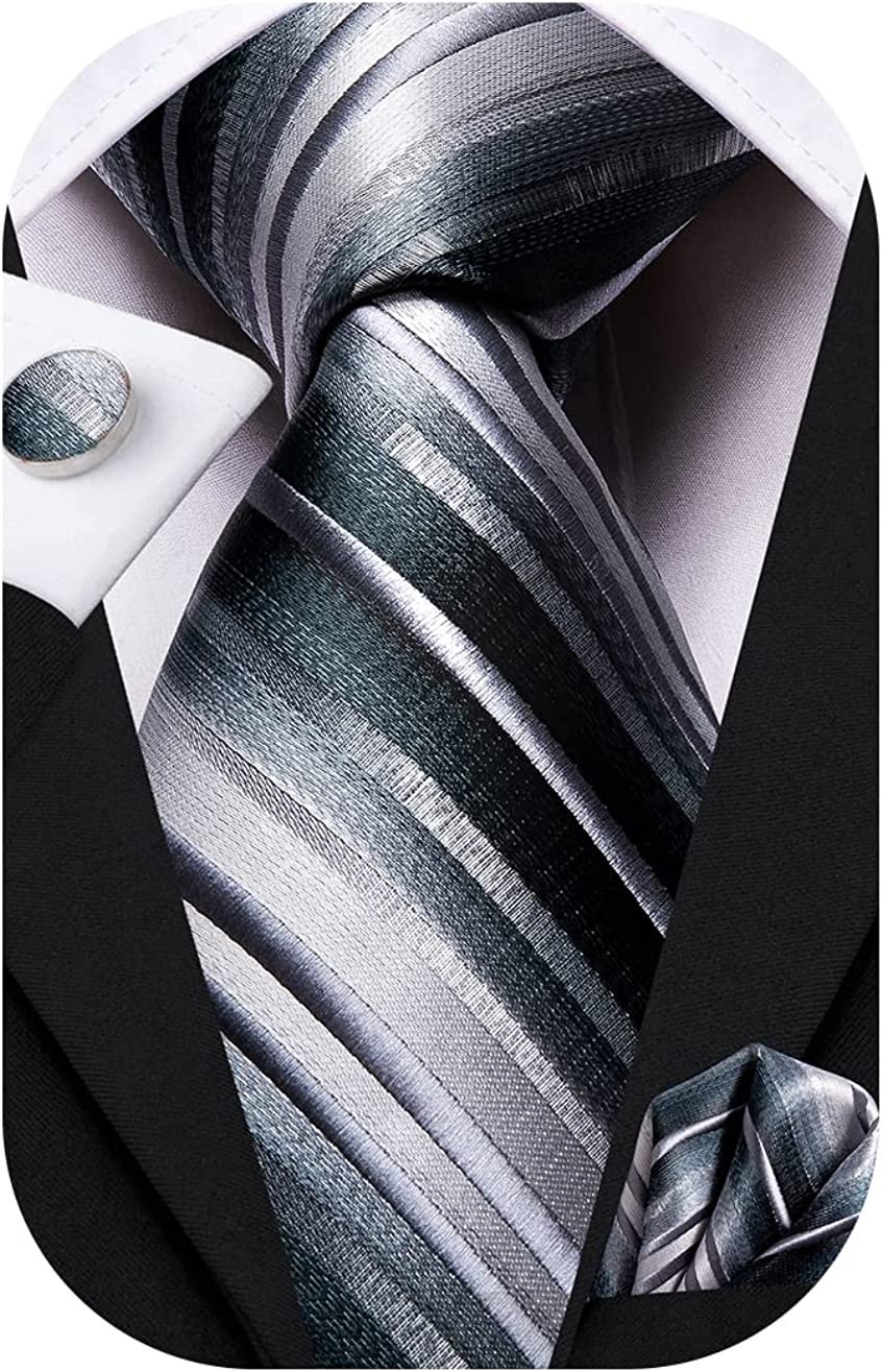 Dubulle Mens Paisely Silk Tie for Men Necktie and Pocket Square Set